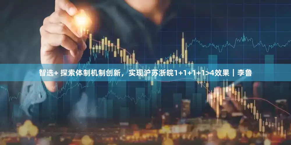 智选+ 探索体制机制创新，实现沪苏浙皖1+1+1+1>4效果｜李鲁