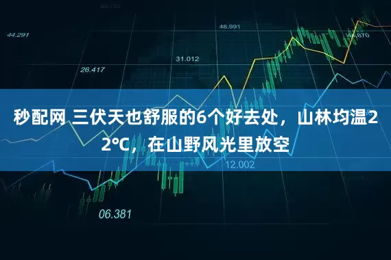 秒配网 三伏天也舒服的6个好去处，山林均温22℃，在山野风光里放空